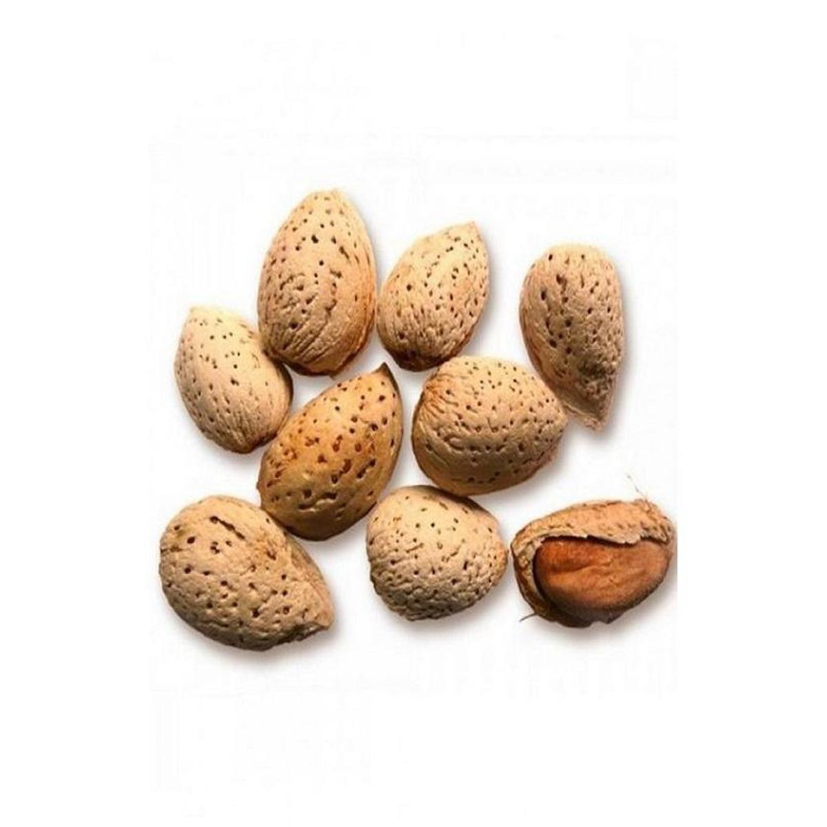 Kaghazi Badaam Almonds 500 Gm Packaged Almonds Snack Healthy Snack