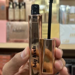 RBORY BIG LASH Fiber Waterproof Mascara