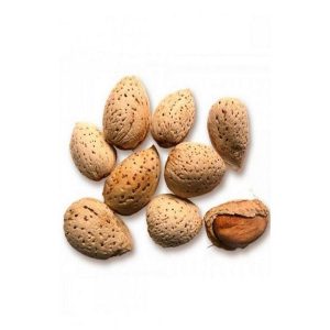 Kaghazi Badaam Almonds 500 Gm Packaged Almonds Snack Healthy Snack