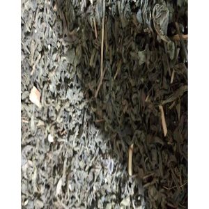 Green Tea 1000 Gm