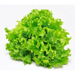 Lettuce Green Seeds (Imported) - Gardening Vegetable Seeds