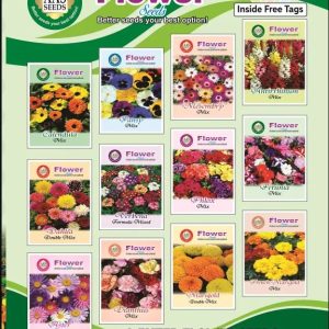 Winter Flower Seeds Kit Pack of 12