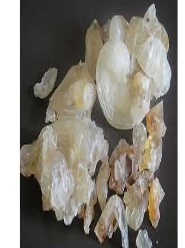 Gond Katira (Tragacanth Gum)-500gm