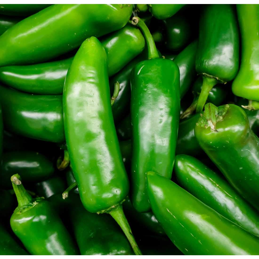 Jalapeno Hybrid Green Chilli Chili Seeds (Sabaz Mirch) Kitchen Gardening Vegetable - Image 3