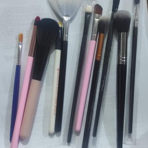 Pack Of 10 Professional Makeup Brushes For Women