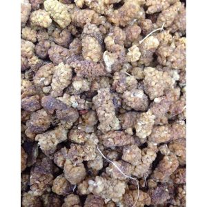 Shatoot Dry-toot 1000Gm
