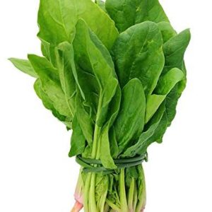 Spinach (Palak) Seeds - for Home Garden