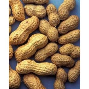 Mong Phali Peanuts