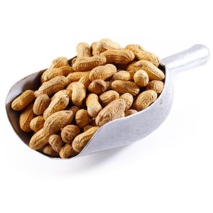 Raw Peanuts (In Shell) kachi Mong Phali 1kg